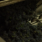 Яркие воспоминания о первом знакомстве с онлайн-слотами и их влиянии